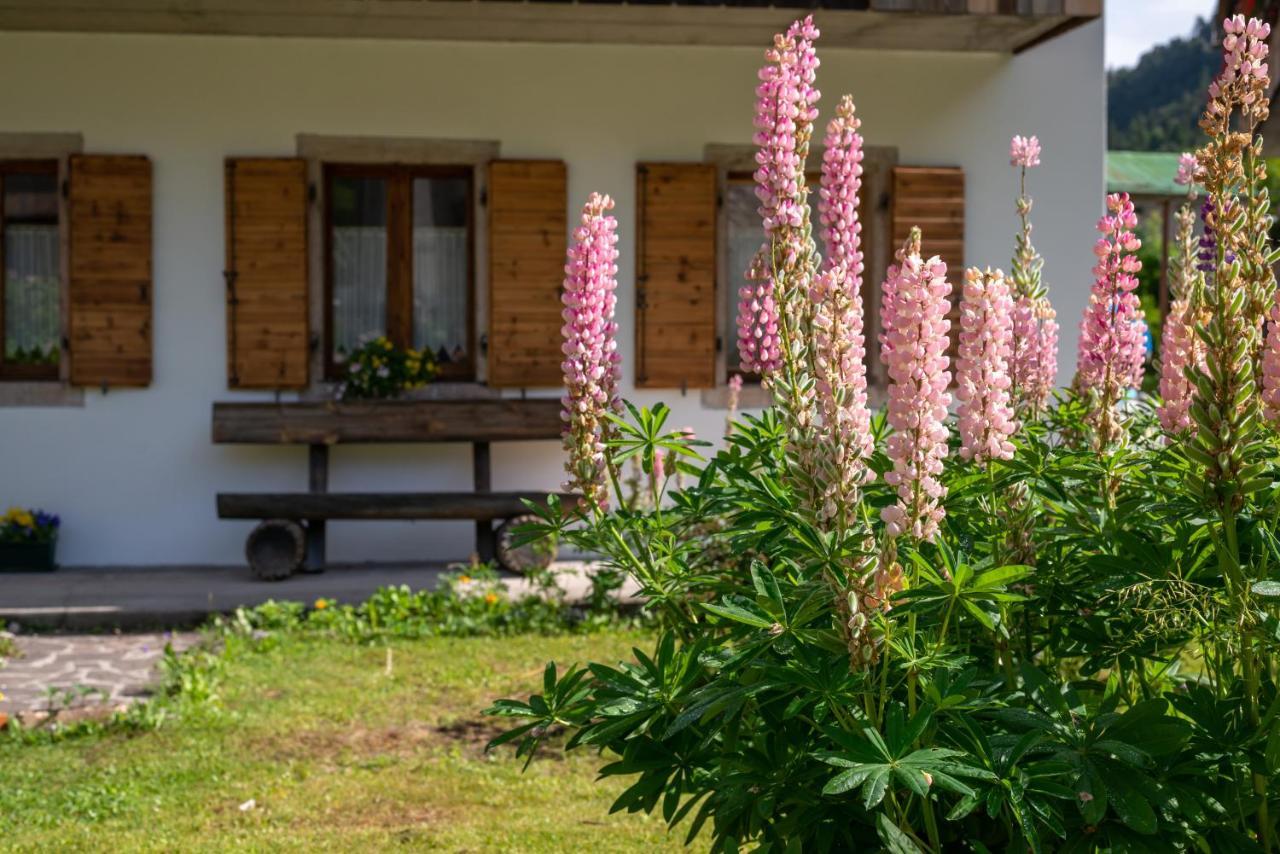 La Gerla Casa Vacanze Dolomiti Perarolo di Cadore Exteriér fotografie